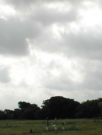 Picture 010